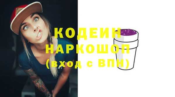 хмурый Алексин