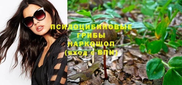 хмурый Алексин