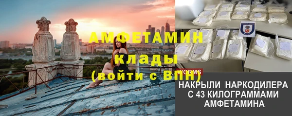 хмурый Алексин