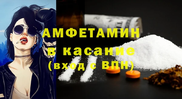 хмурый Алексин